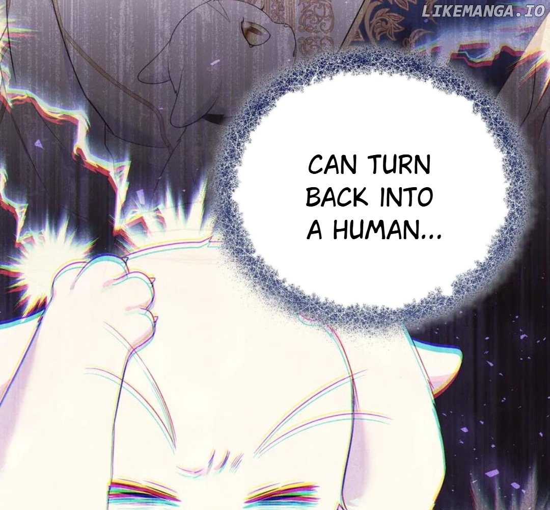 I Became the Sultan's Precious Cat Chapter 55 - page 123
